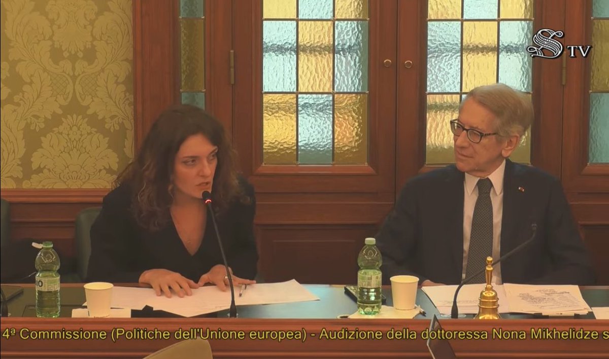 (ANSA) - ROMA, 16 GEN - "In continuità con l'audizione dello scorso 20 dicembre della Presidente Zourabichvili, abbiamo approfondito questa mattina la situazione attuale politica della Georgia con l'audizione della dottoressa <a href="/NonaMikhelidze/">Nona Mikhelidze</a>. È emersa nuovamente la profonda