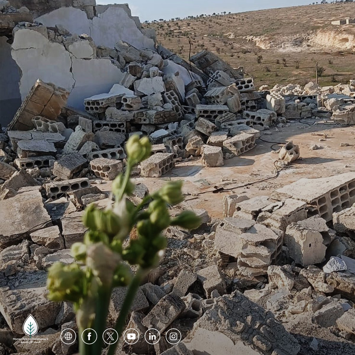 Women Now النساء الآن tweet media