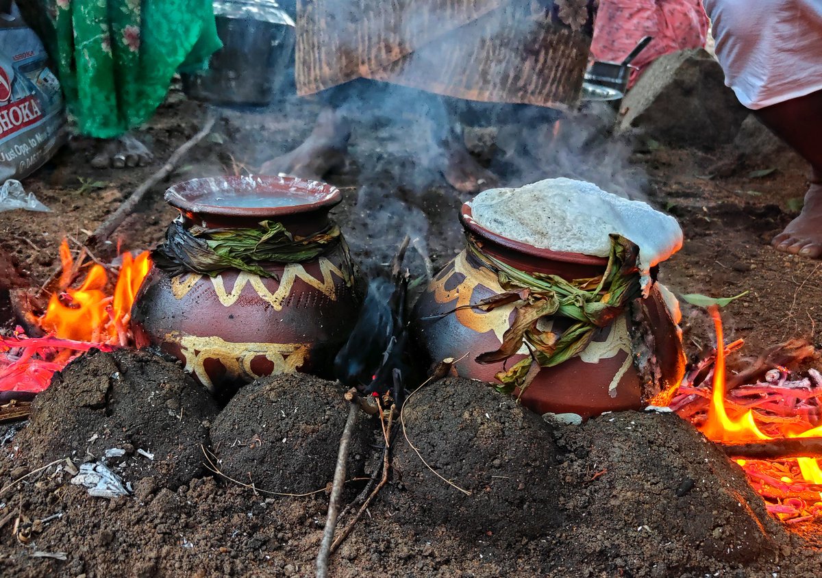 iamnaganathan's tweet photo. Pongal celebration ✨
#PongalFestival #Pongal2025 #PongalVibes https://t.co/VSnsHRL653