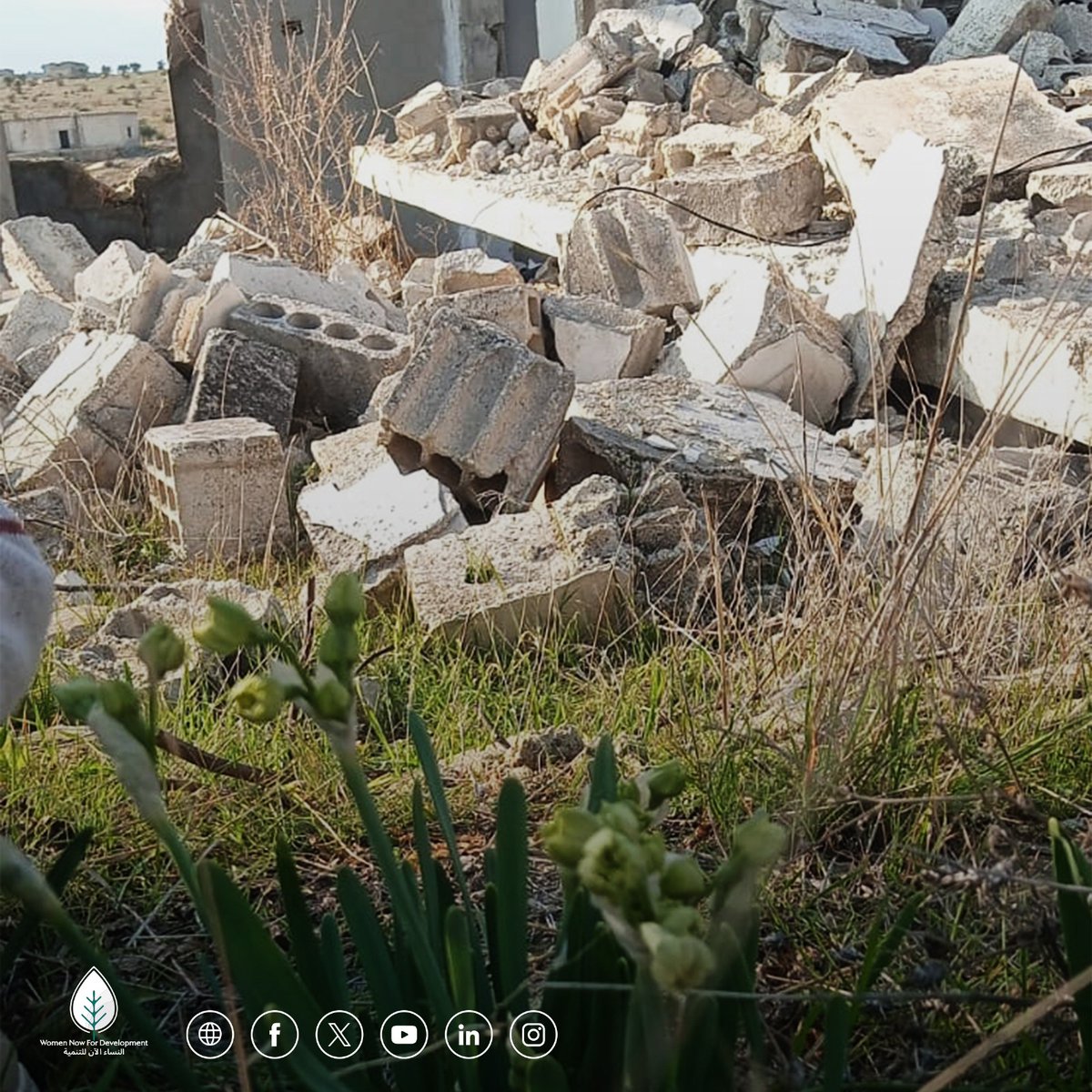 Women Now النساء الآن tweet media