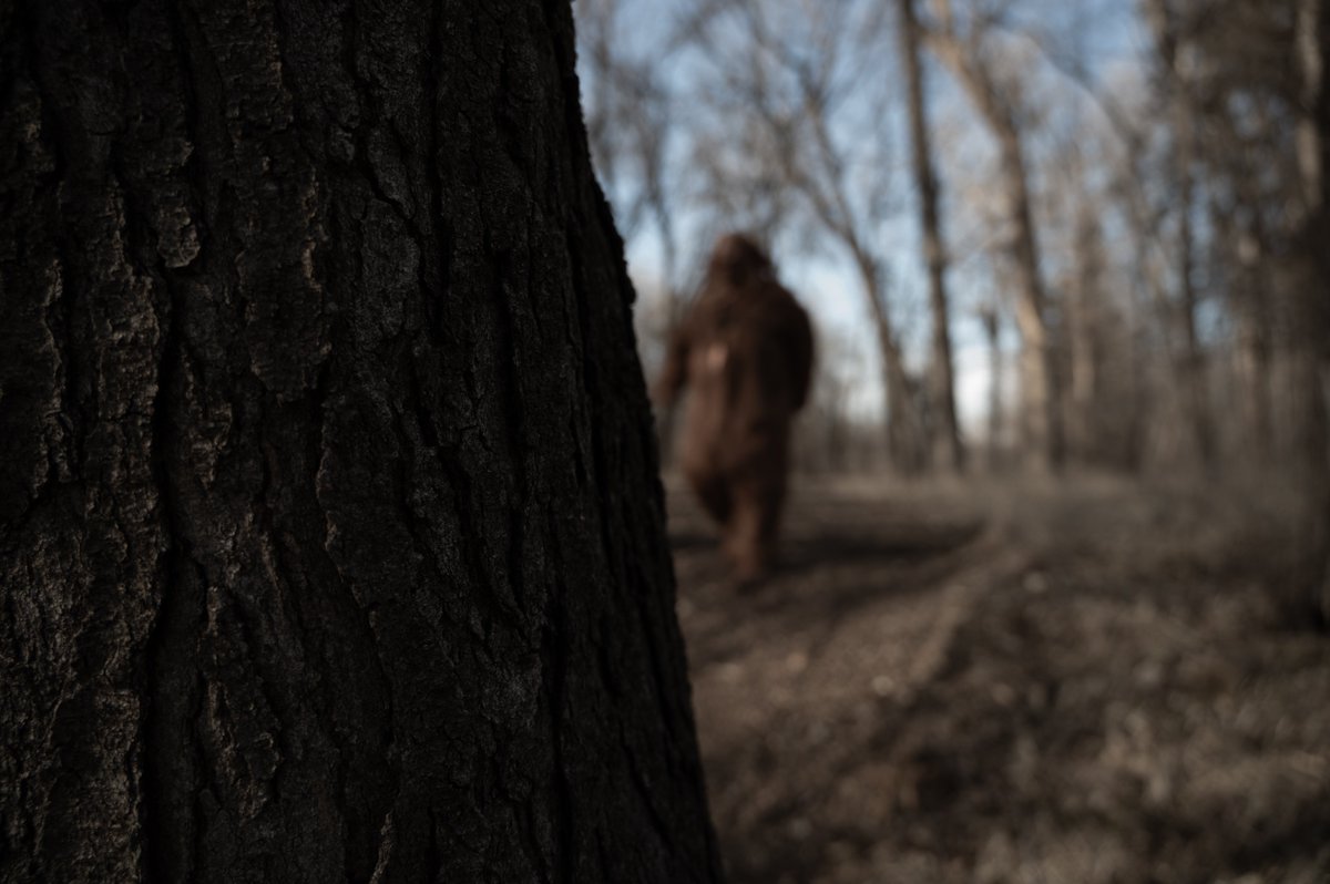 SeeGrandIsland's tweet photo. Post your 📊 predictions 📈 here:

How many sasquatch sitings will there be before the next Nebraska Bigfoot Conference (April 25-26, 2025)? 

https://t.co/dKOAGWWOY0

#simplygrand #bigfoot #sasquatch #yeti
@FonnerRacing https://t.co/b5yMs7hGBx