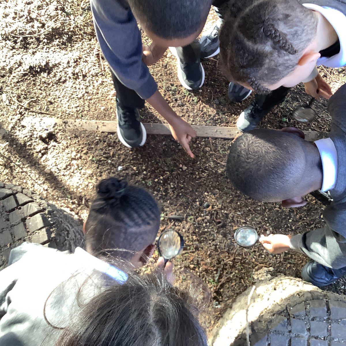 Year 2 have been scientists! We explored our outside environment to see if we could find things that were alive, used to be alive and were never alive.