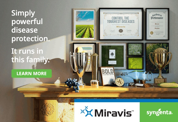 syngentacanada's tweet image. #SimplyPowerful protection runs in the family… #Miravis brand fungicides have power, spectrum and stamina to protect crops from key diseases that steal quality and yield. bit.ly/3XlU5JD