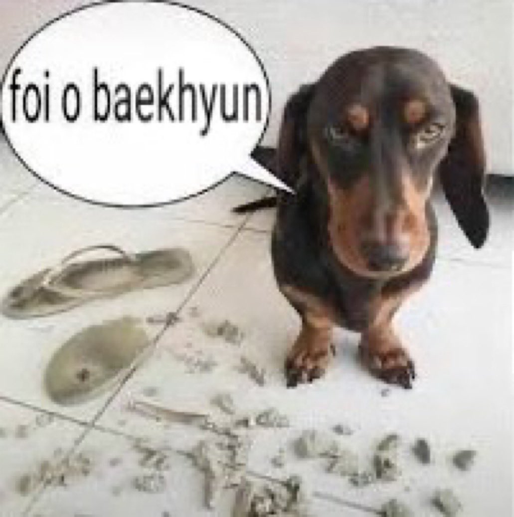 baekysun's tweet photo. 백현 한국팬들한테만 응답하지 말아주세요
우리도 사람이에요, 그렇죠?! https://t.co/8jppV1K5SO