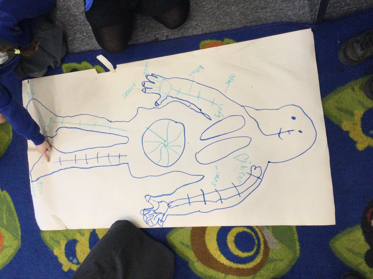 SchoolWelford's tweet photo. Ayling Ellis are being scientists this afternoon showing what they already know about their amazing bodies. #pdetmat #livingandlearningtogether https://t.co/uLhYkqWfnH