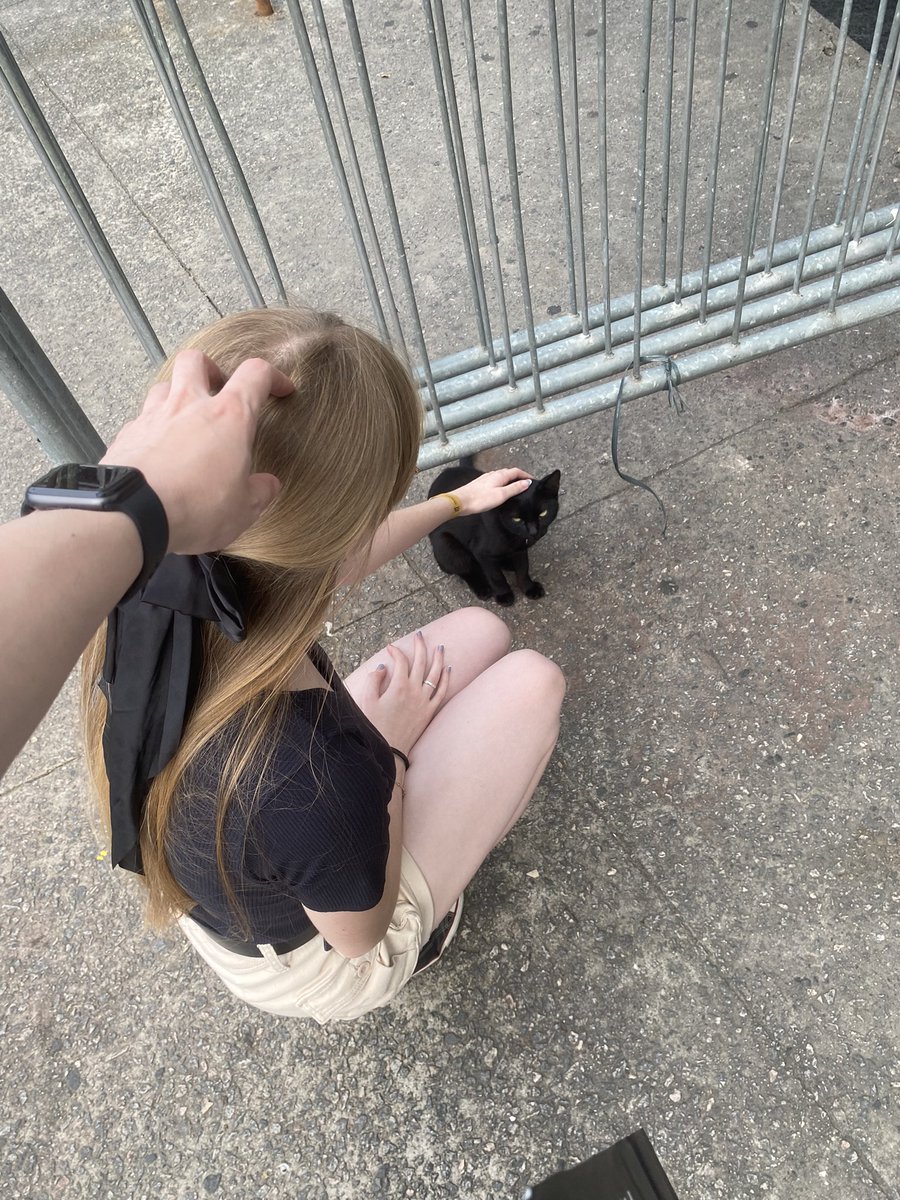🐰 tweet media