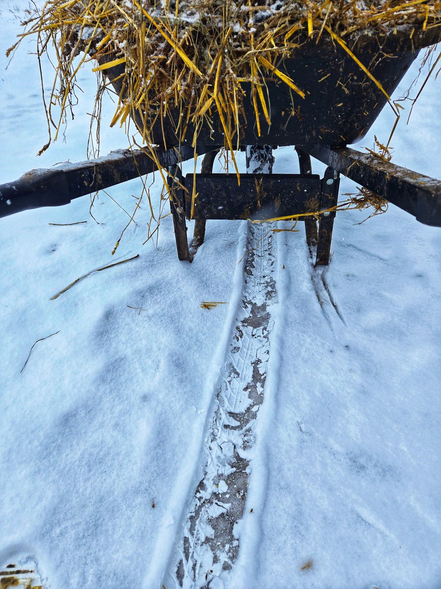 PrymeFarms's tweet image. Today on Ice Road Truckers.....
#keepsmehumble