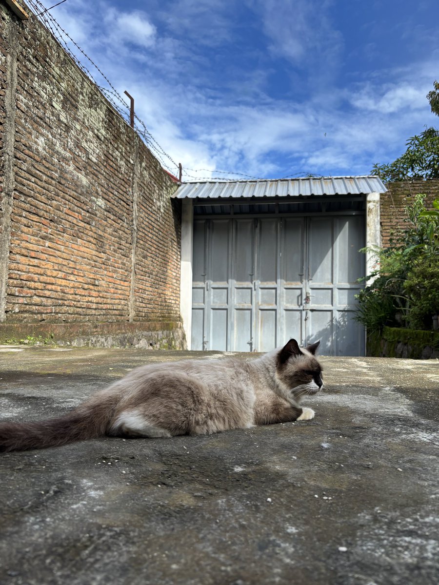 vinncats's tweet photo. Langitnya bagus banget!! 🥹 https://t.co/VvngneVxE9