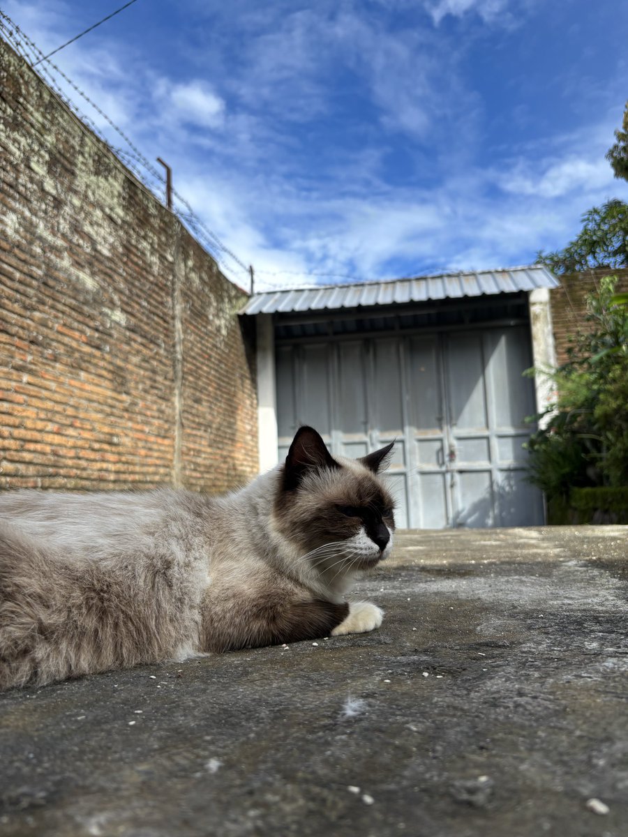 vinncats's tweet photo. Langitnya bagus banget!! 🥹 https://t.co/VvngneVxE9