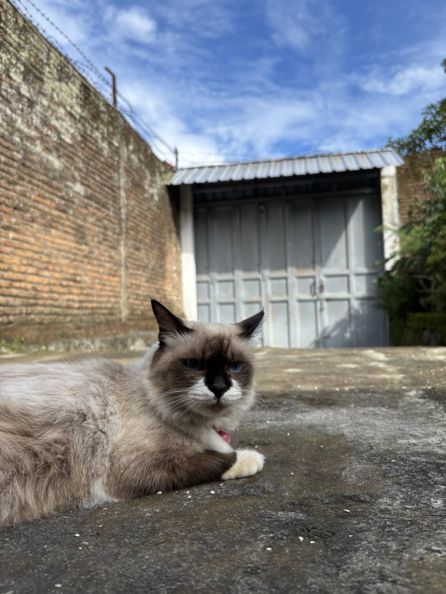 vinncats's tweet photo. Langitnya bagus banget!! 🥹 https://t.co/VvngneVxE9