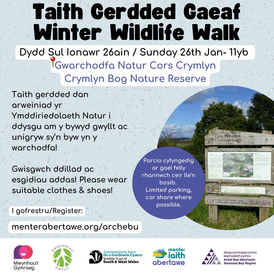 Menter Iaith Abertawe (@menterabertawe) on Twitter photo TAITH GERDDED GAEAF
Dewch am dro ar daith gerdded natur, dan arweiniad <a href="/WTWales/">Wildlife Trusts Wales</a>. Croeso i siaradwyr Cymraeg o bob lefel!
📅 26.01
⏰ 11yb
📍 Gwarchodfa Natur Crymlyn Bog, SA1 7BW
🔗 Cofrestru ➡️buff.ly/4gZRYme
<a href="/learncymraegABA/">LearnWelshSwanseaBay</a> | #yagym TAITH GERDDED GAEAF
Dewch am dro ar daith gerdded natur, dan arweiniad <a href="/WTWales/">Wildlife Trusts Wales</a>. Croeso i siaradwyr Cymraeg o bob lefel!
📅 26.01
⏰ 11yb
📍 Gwarchodfa Natur Crymlyn Bog, SA1 7BW
🔗 Cofrestru ➡️buff.ly/4gZRYme
<a href="/learncymraegABA/">LearnWelshSwanseaBay</a> | #yagym