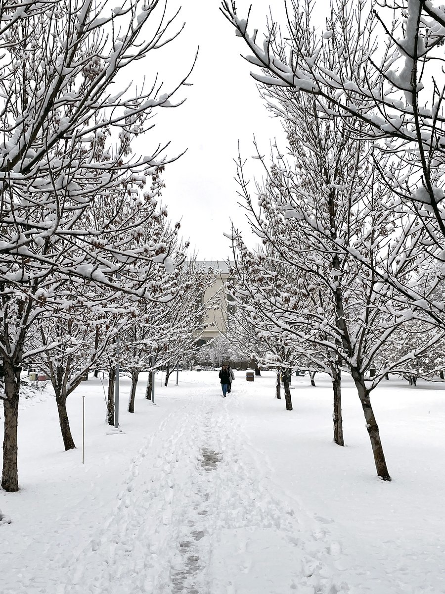 University of Regina tweet media