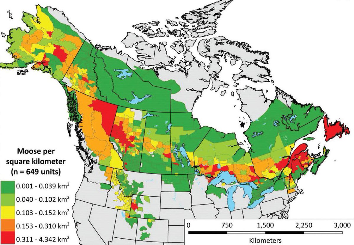 BrilliantMaps's tweet photo. Where you can find Moose in Canada &amp; The US:

More about where they live: https://t.co/2ukF6yxuWq https://t.co/7XolBrCB53