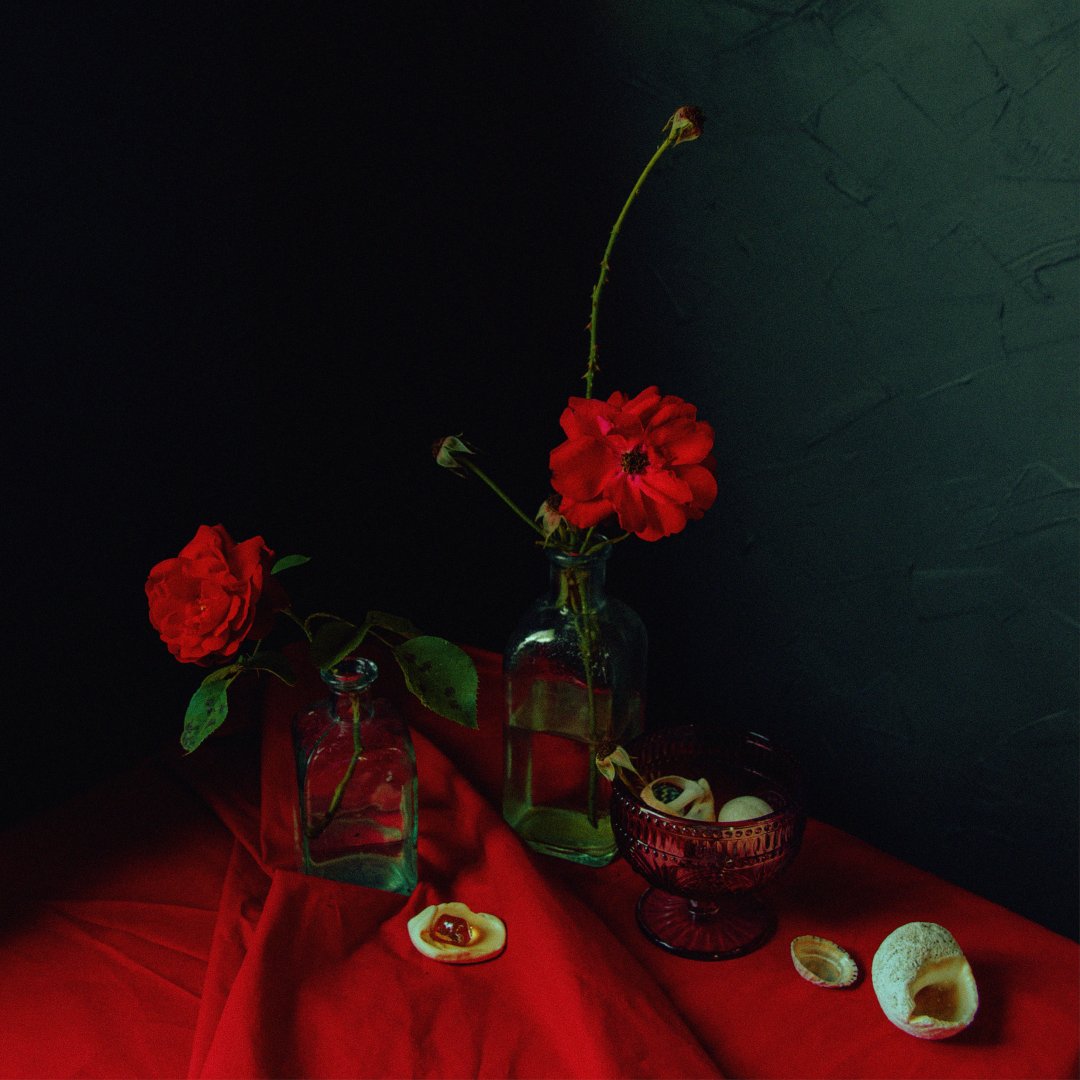 World Photography Organisation tweet media