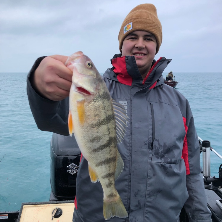 Over winter break, Mr Robson and the Fishing Club ventured out onto frigid Lake Michigan. Tristan and Connor caught these giant Perch! #TPTitanNation