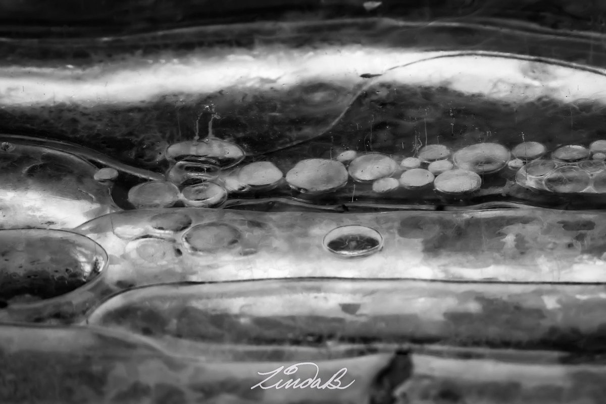 LSBofEBB's tweet photo. Tiny Bubbles…
If you look closely, you can see tiny bubbles streams (look like scratches) that have frozen in place. It’s an interesting little detail 😊
#tinybubbles #frozen #ice #BNW #photography #arthappens #winterwalk #nature #patterns #EveryBitBeautiful #rhodeisland https://t.co/zDGj3d0GtE