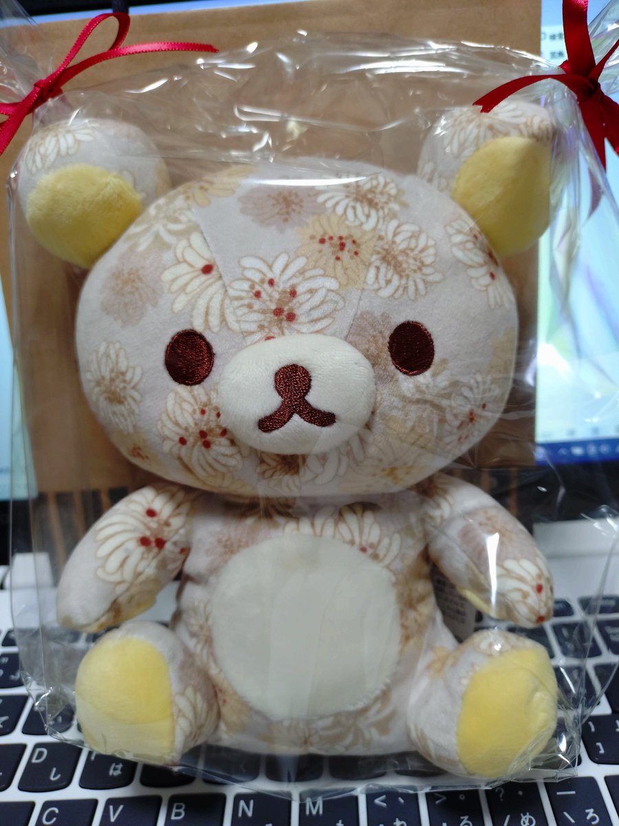 激カワすぎる…………
めちゃくちゃ長期間渋ったけど、買ってよかった