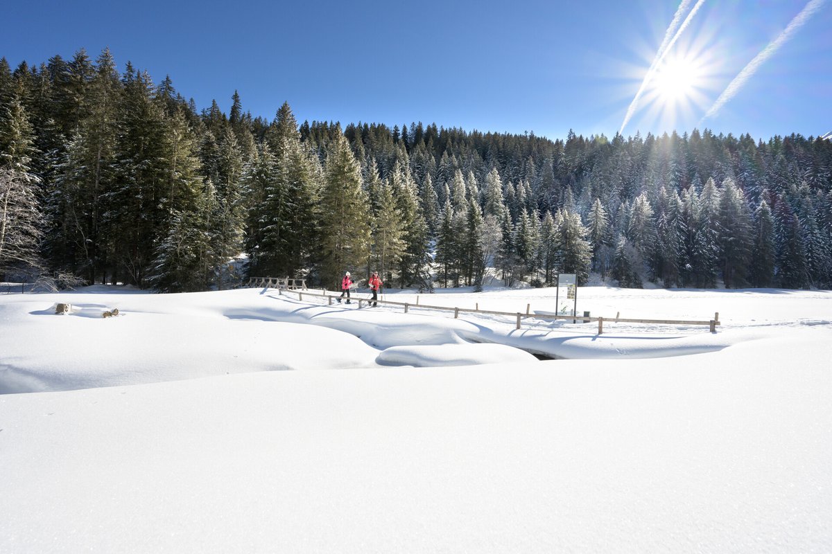 ❄️ Do you enjoy exploring snowy landscapes and the absolute tranquility of nature on snowshoes? Discover all our routes 👉 rddm.link/raquettes

#regiondentsdumidi #valais #portesdusoleil