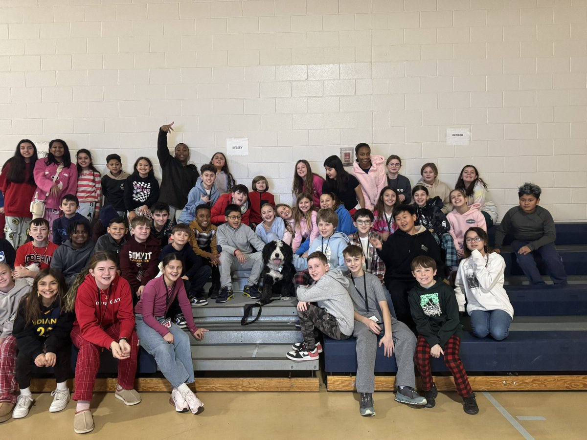 Archie THE Therapy Dog tweet media