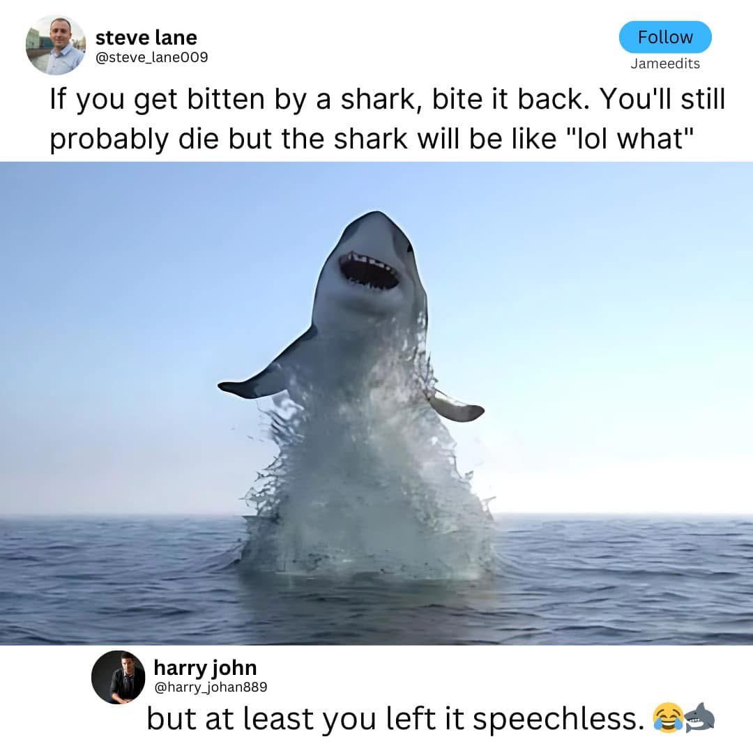Ajetechhh's tweet photo. The funniest thing I have seen on the internet this year 😂😂 https://t.co/lBBA8VU9tt
