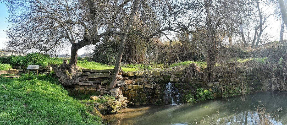 Som Segarra tweet media