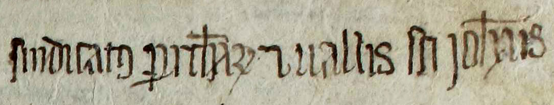 Joan Ferrer i Godoy tweet media