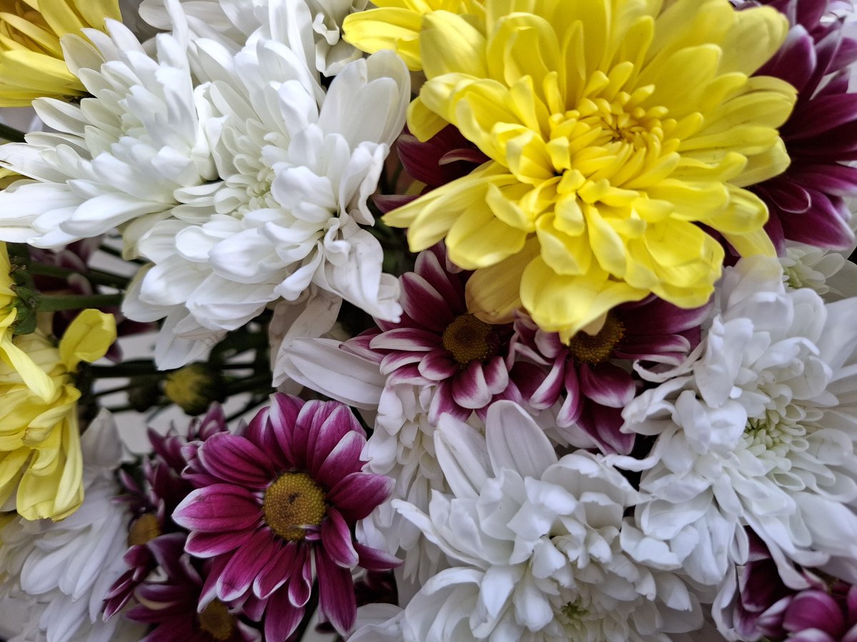 Beautiful flowers from my colleagues and friends in Nairobi! ❤️ - they know how much I love flowers! 
For the first time since Sunday  I managed to laugh easily and relax a little as I was surrounded by so much love! 
Nimepewa maua yangu 😀 🌺🌼💐🌻nawapenda wote sana ! All will