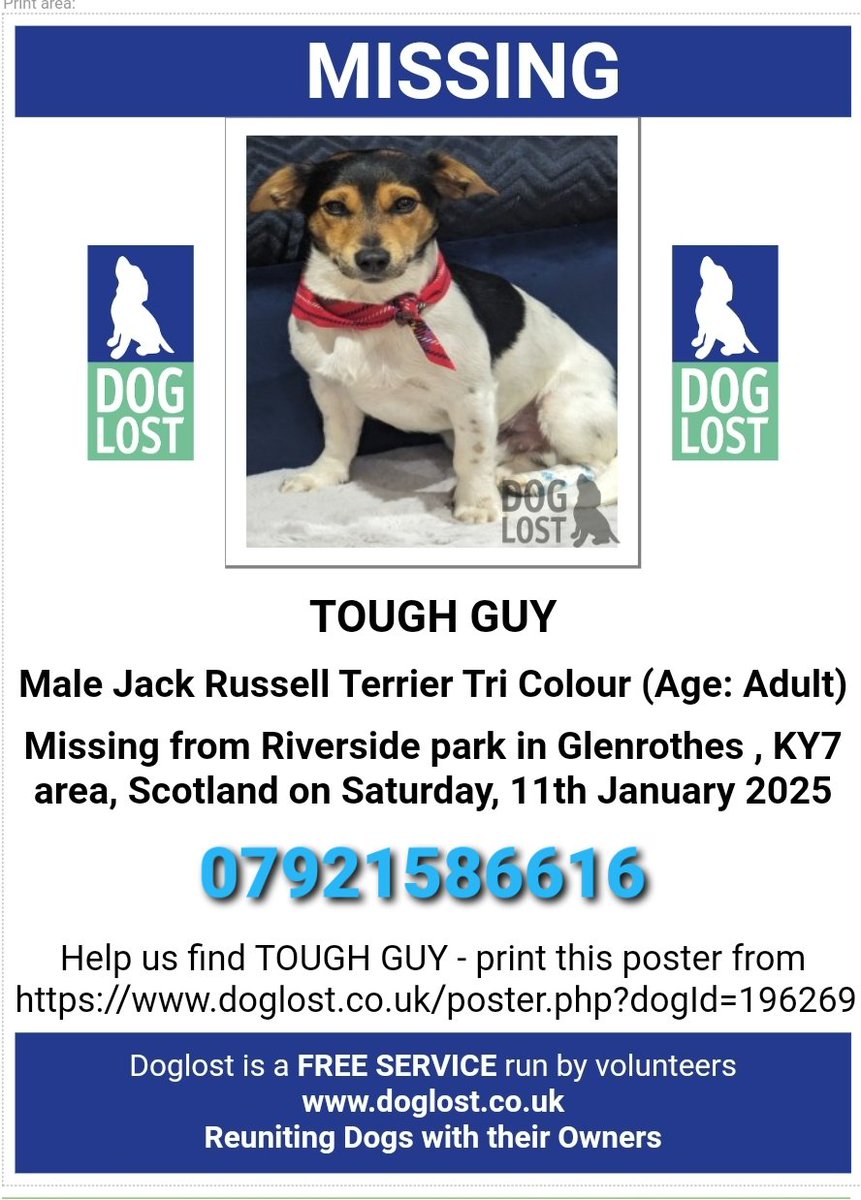 MissingPetsGB's tweet photo. Tough Guy is is still missing despite drone & tracker dog searches.
Please look out for this boy, lost in #Glenrothes #Scotland #KY7 https://t.co/Sz5kXaCphu