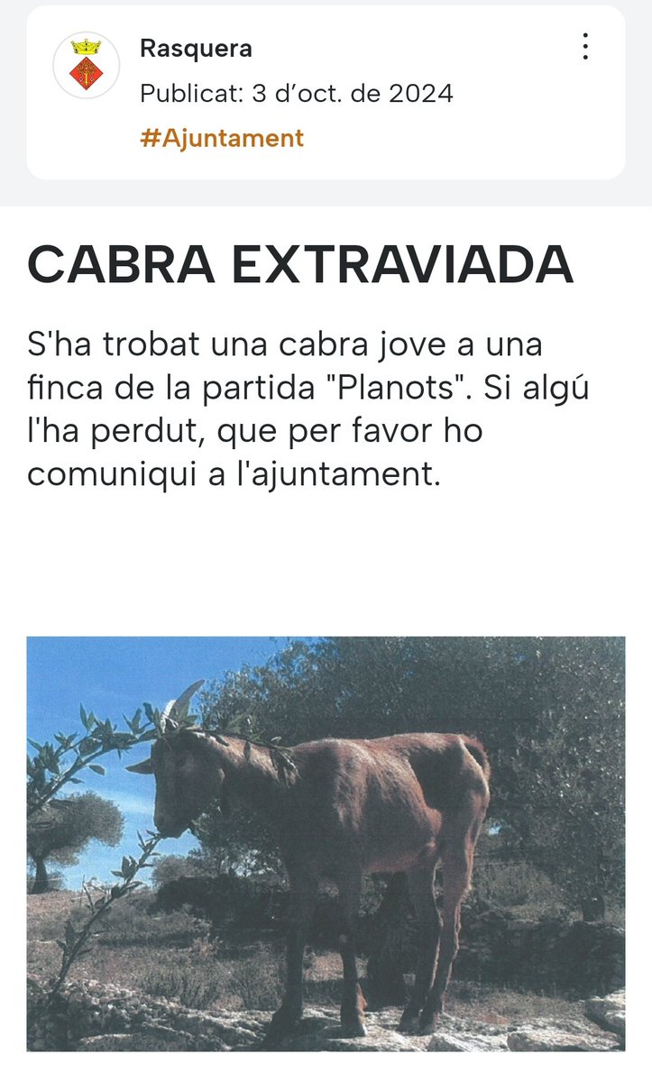 tuitosc's tweet photo. @EagoraApp @etfelicitofill https://t.co/in8SrCXJjd