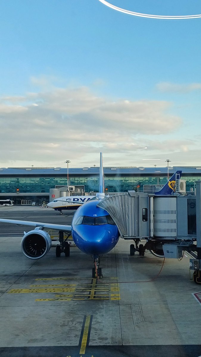 Wildties tweet media