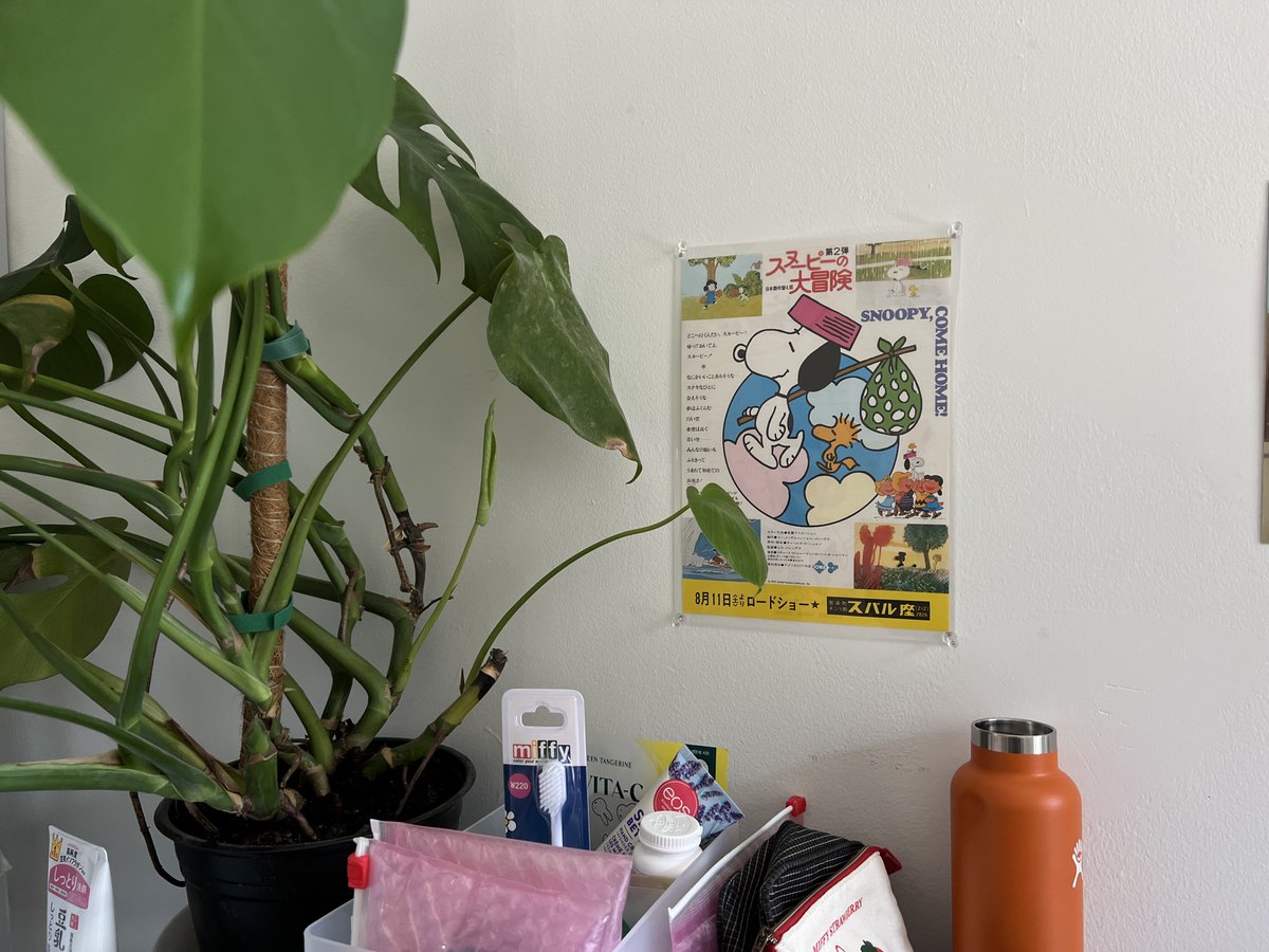paolalien's tweet photo. new stuff up my bedroom wall, new journal and scrapbook, new calendar 🧦 https://t.co/hvWMgbyyeh