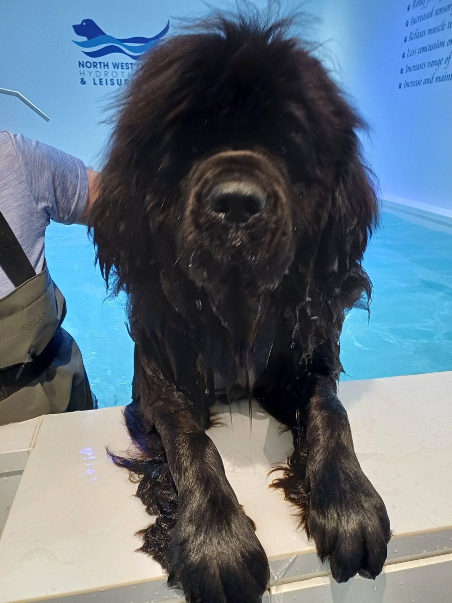 Murray & Friends tweet media