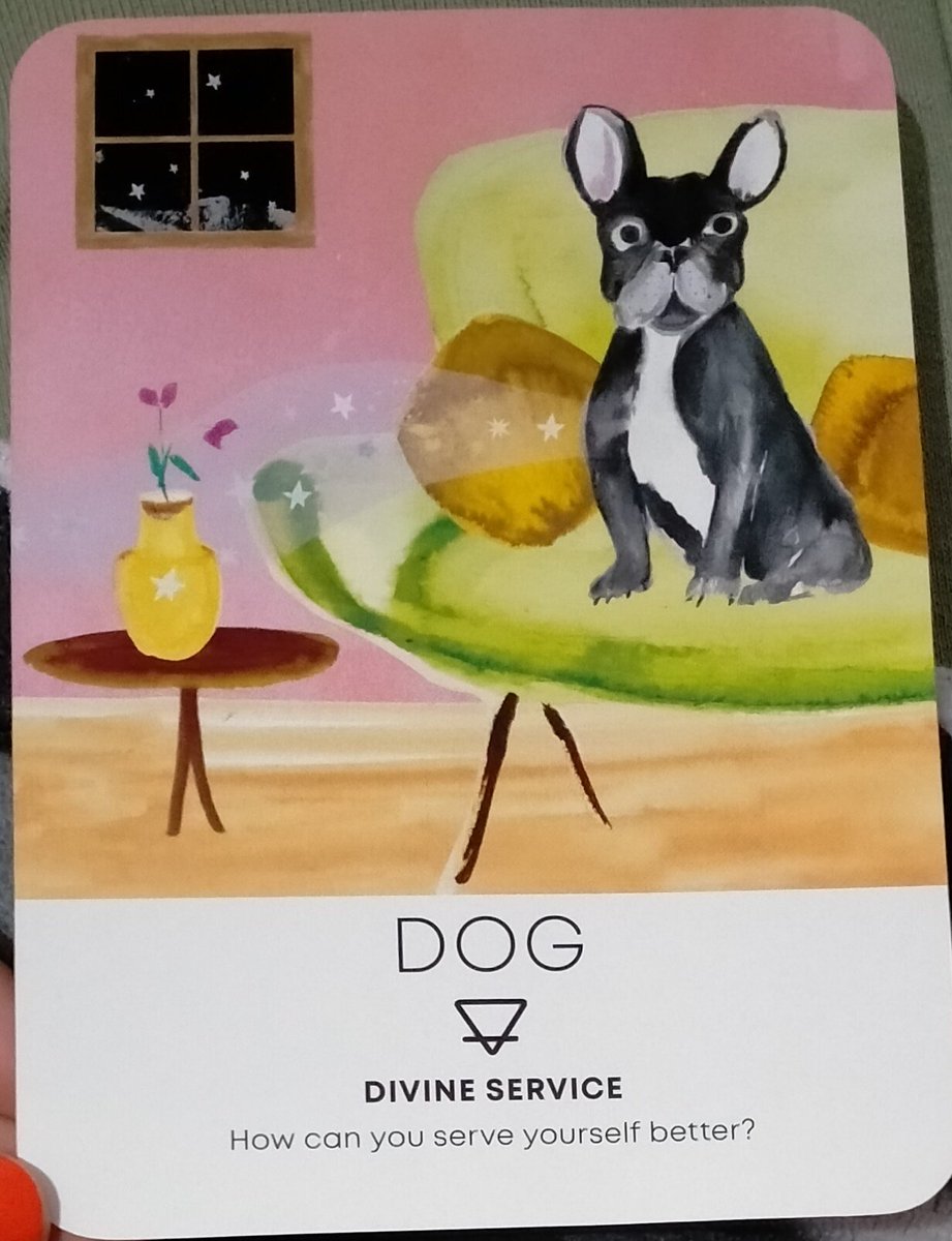 didsastrotarot's tweet image. #oracleoftheday ✨