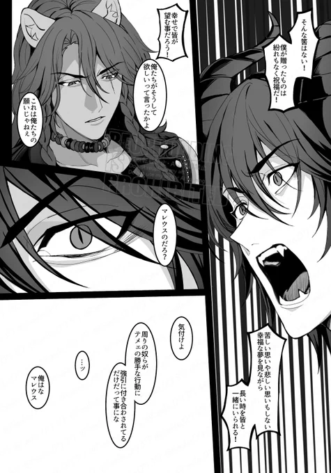 (2/3)
#マレレオ 