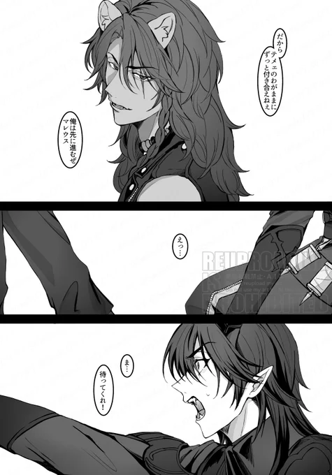 (3/3)
#マレレオ 