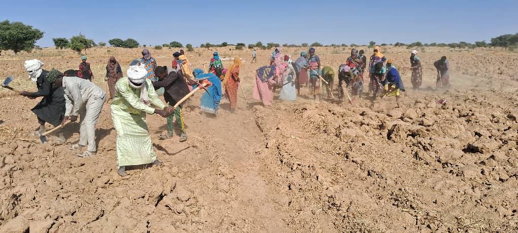 agmvtchad's tweet photo. 🌍 L'ANGMV en action à Dar Tama :
- Plantation de moringa et papayer
- Consultation publique pour une gouvernance inclusive
- Aménagement durable de la FACI de Milé
Des initiatives pour restaurer les terres, renforcer la résilience et promouvoir la sécurité alimentaire. #Tchad https://t.co/FM1EtyHZS9