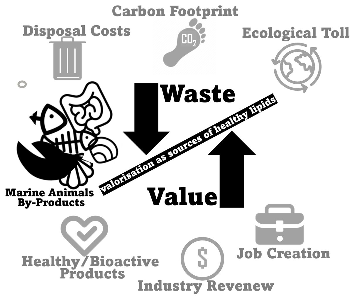 #mbargnews
The review on marine co-products and health-promoting lipids,  published by MBA researchers, João Monteiro, Rosário Domingues and Ricardo Calado👨‍🔬👩‍🔬 was included, by MDPI, in the top 10 most read papers from Marine Drugs.
doi.org/10.3390/md2202…
#cesam_univ
@cesam_univ