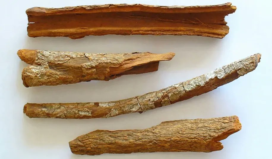 Der Chinarindenversuch – Irrtum statt Revolution

Auf den Chinarindenversuch gründete Hahnemann sein Ähnlichkeitsprinzip  und auf dieses sein ganzes Gedankengebäude der #Homöopathie. Zu seiner  Zeit ein netter Versuch, aber heute noch?

Neuer Artikel: 

susannchen.info/hahnemanns-chi…