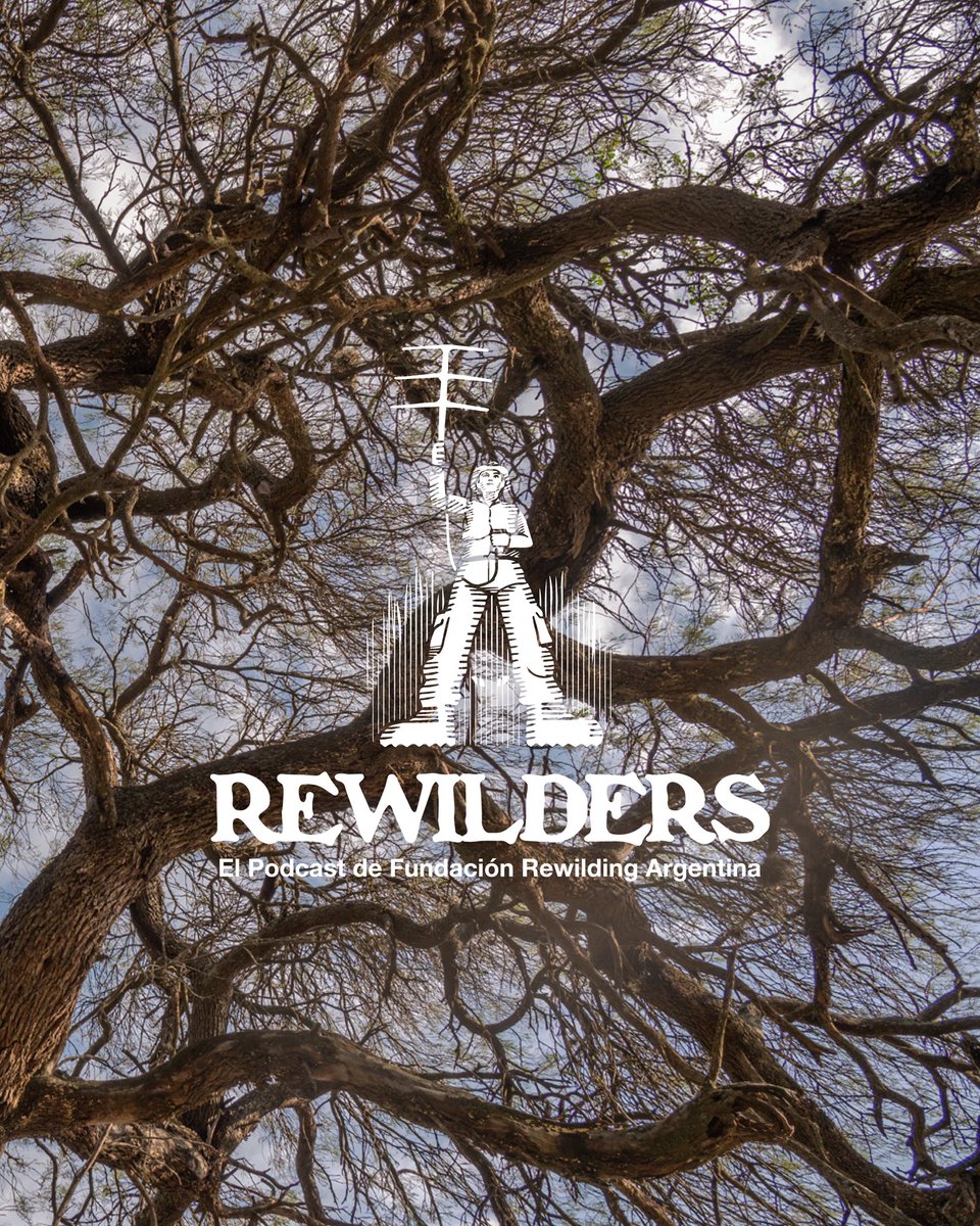 NUEVO EPISODIO DE NUESTRO PODCAST #REWILDERS: ALGARROBO, ECONOMÍA DE UN MONTE EN PIE ·

Disponible en nuestra web: rewildingargentina.org/rewilders/

#rewilding #rewilders #podcast #conservation