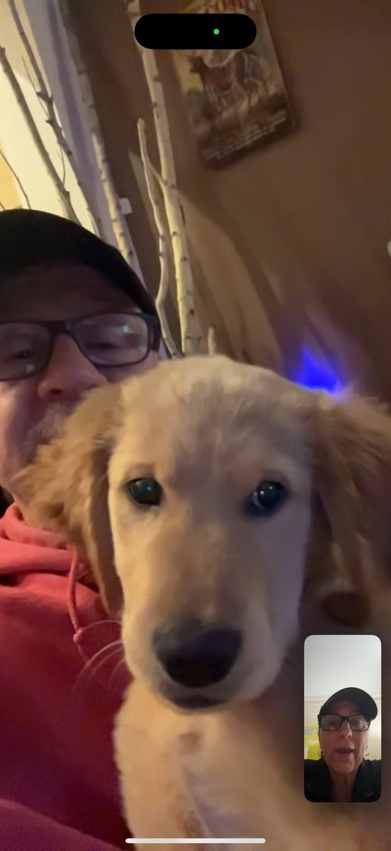 ChanceTheGolden's tweet photo. Got to see Mom last night on a little rectangle thing! She said I got so big.. couldn’t tell if she was happy or sad about that, but anyway she’s coming home tonight!!! 🥺❤️
Time to behave ! 😂🤭
#Momsaway #troublewithdad
#adventureswithchance https://t.co/cMc6zf1ZsR