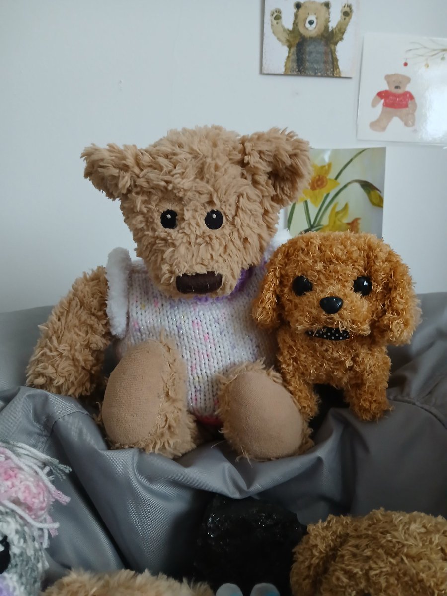 Edward🐻 tweet media