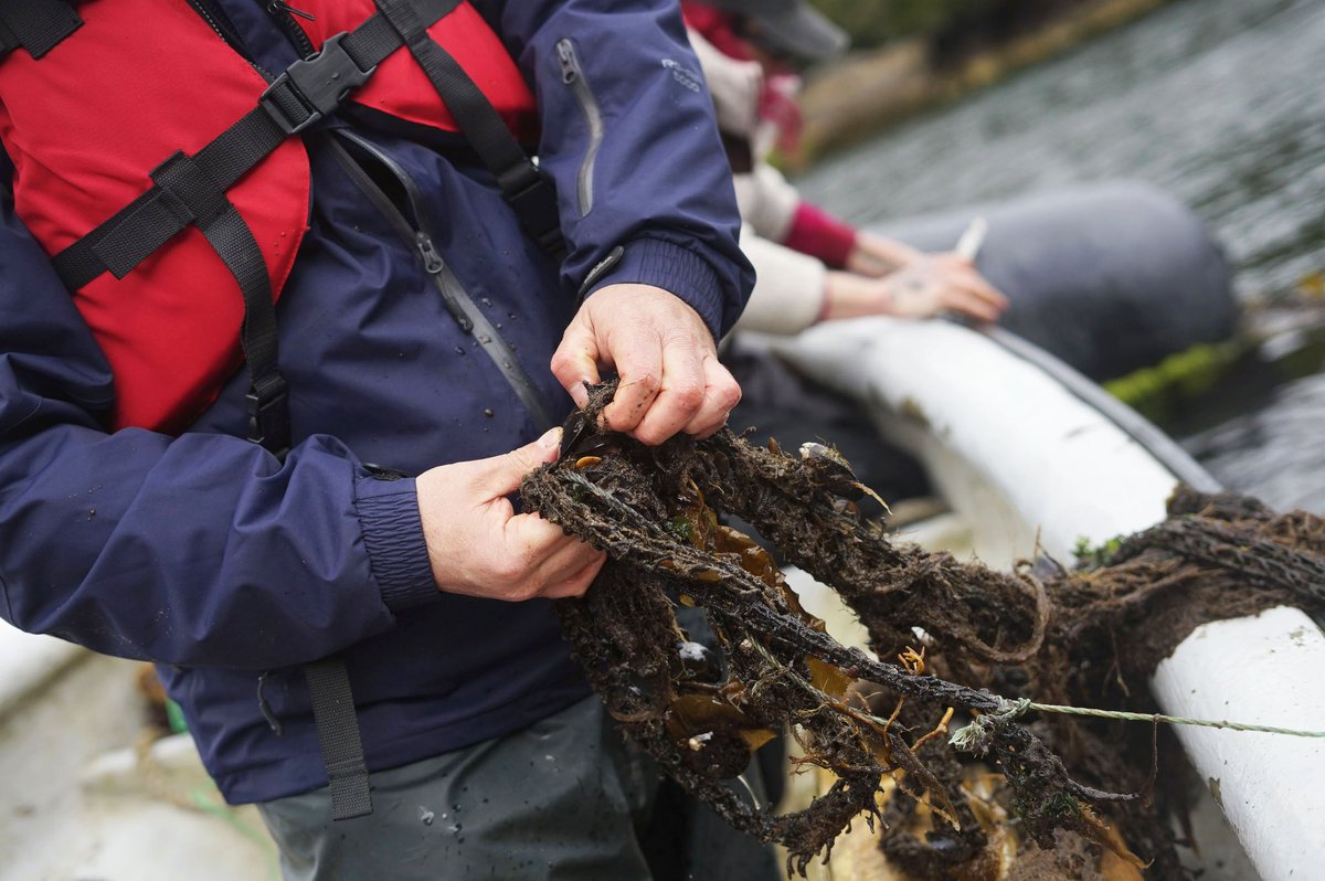 FAOChile's tweet photo. 🤔¿Sabías que las actividades económicas sostenibles son posibles en áreas marinas protegidas? Proyecto GEF Gobernanza @MMAChile @SubpescaCL @sernapesca que apoya @faochile trabaja en piloto de acuicultura a pequeña escala en ACMU Pitipalena-Añihué en #Aysen 🐟 https://t.co/gbAzjKF61I