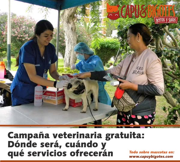 CapuyB's tweet image. 🐶 ¡Gran noticia para los amantes de las mascotas en la zona sur de #Lima ! Este domingo 19 de enero se llevará a cabo una campaña veterinaria GRATUITA como parte del evento #Chorripatitas2025

Más detalles 👉 wp.me/pb7hCB-9IB

#Mascotas #PetLovers #Chorrillos #Gratuito