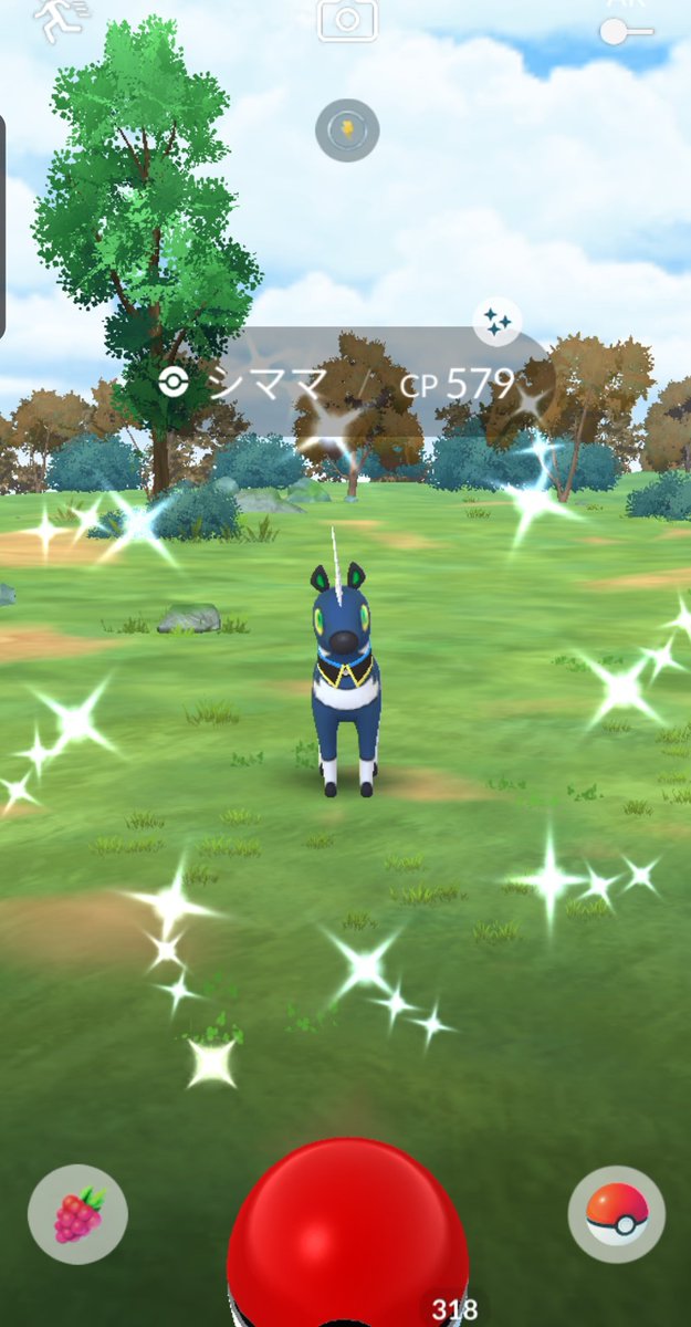 kumaerin_OeO's tweet photo. キラーン✨
今日はシママくんいらっしゃいました😆💕
#ポケモンGO
#PokeminGO https://t.co/C2g4hke14m
