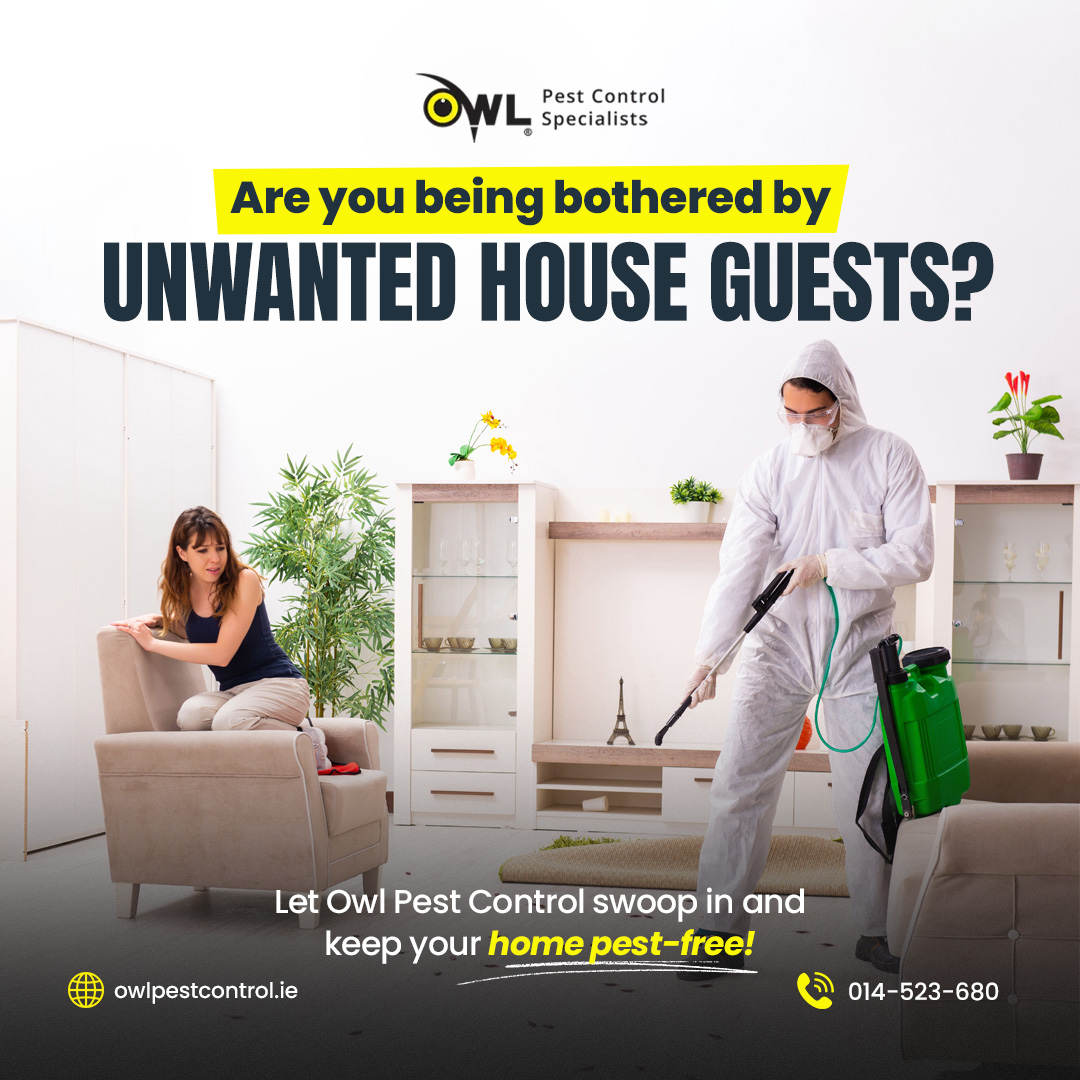 owlpestcontrol's tweet image. Owl Pest Control is here to help restore peace to your home.

Our expert team swoops in with professional, safe, and effective solutions to make your space pest-free. Because the only guests you should have are the ones you invite!

#OwlPestControl #PestControlServices