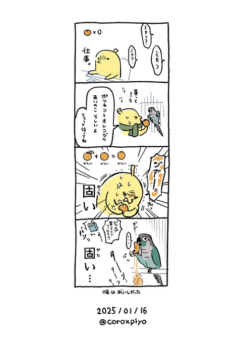 🍊 