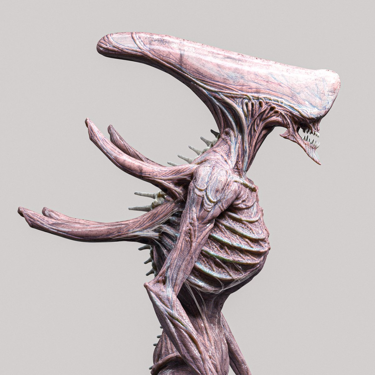 AndresRiosRizo's tweet photo. Some Xenomorph designs https://t.co/7hpIdC0Rt4