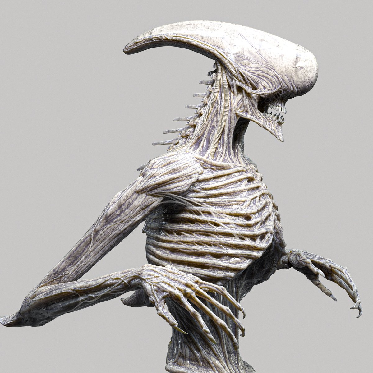 AndresRiosRizo's tweet photo. Some Xenomorph designs https://t.co/7hpIdC0Rt4