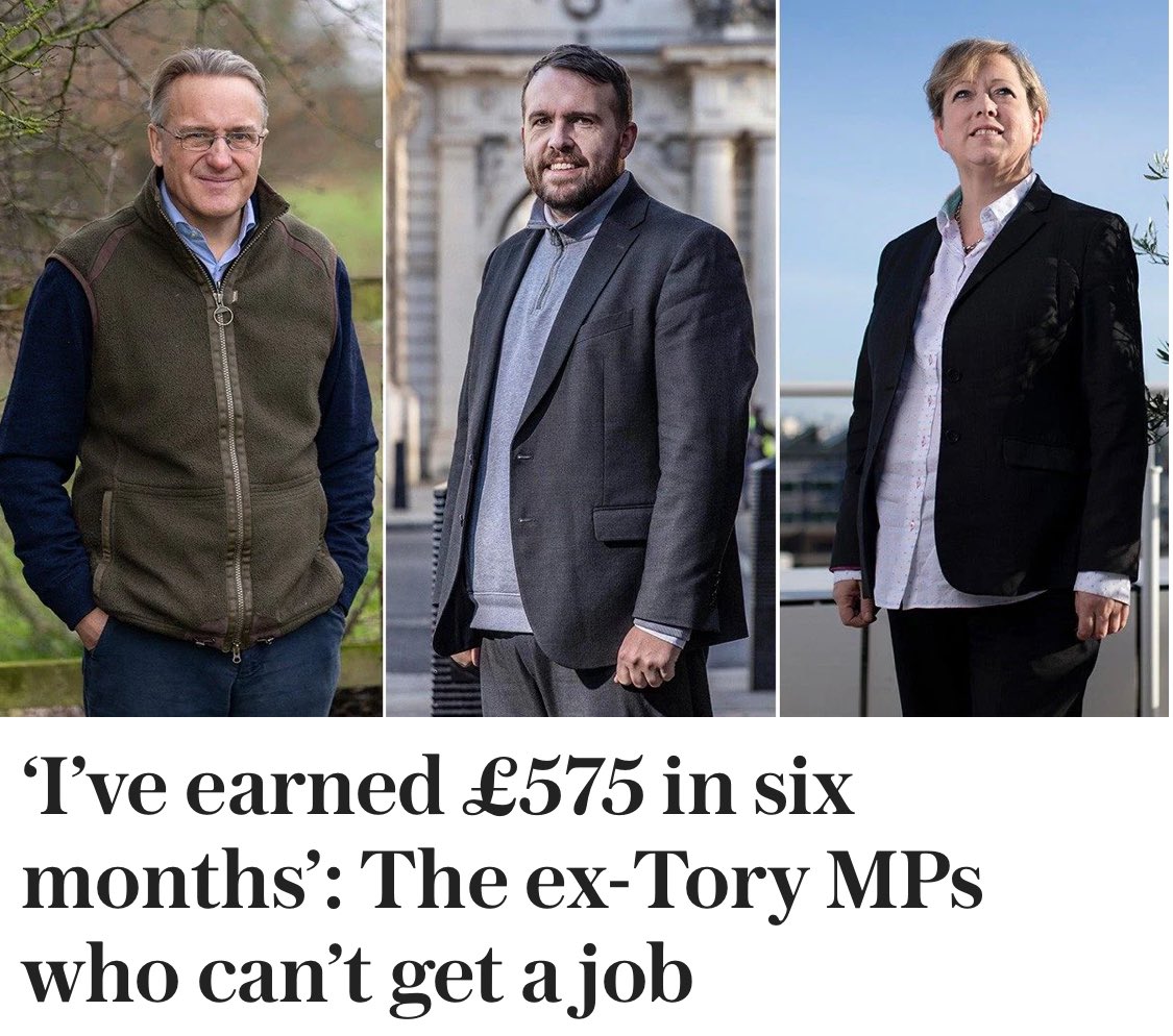 this story cheered me up no end 🥰