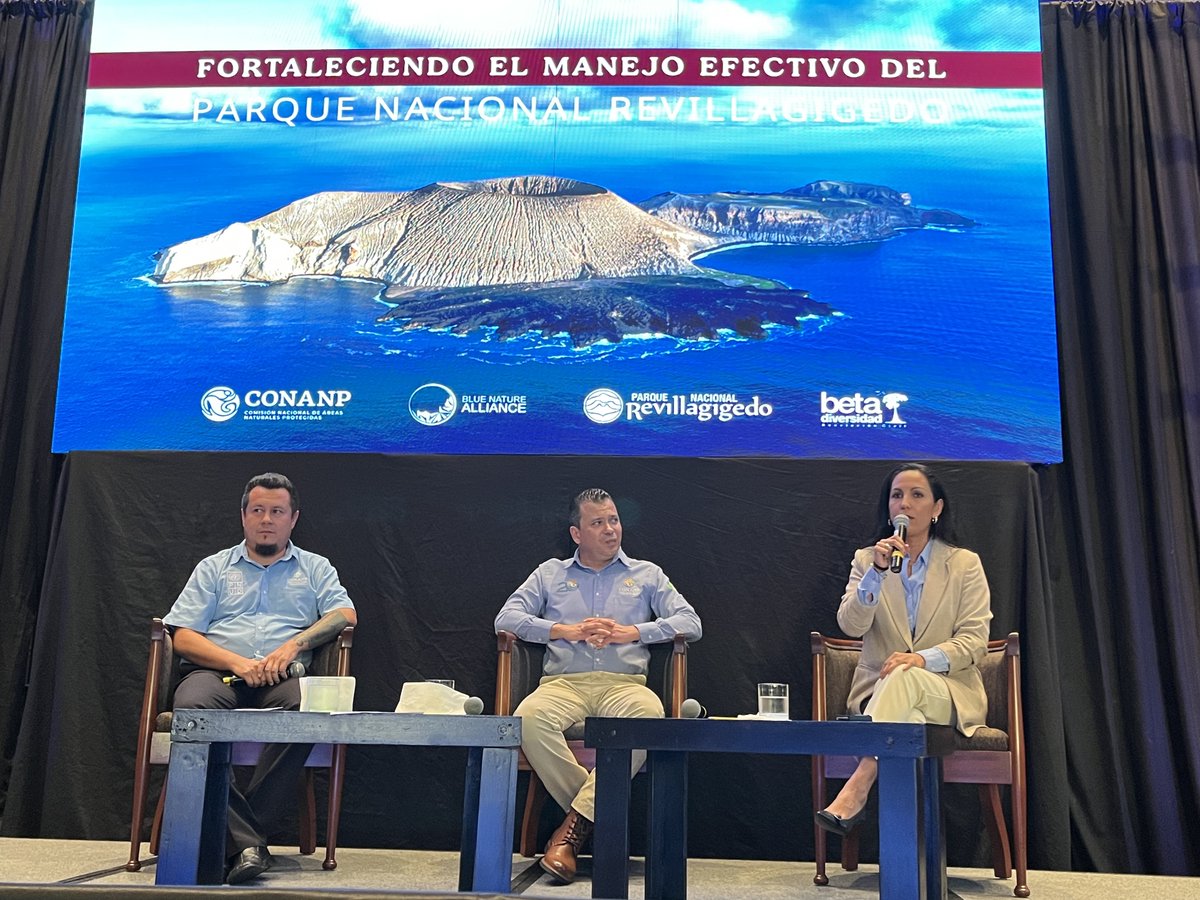 betadiversidad's tweet photo. 🇲🇽El Parque Nacional #Revillagigedo consolidó un importante proyecto de manejo efectivo y fortalecimiento institucional gracias a la colaboración entre @CONANP_mx, @BluNatAlliance y #BetaDiversidad.  

Nos llena de orgullo formar parte de este gran equipo. https://t.co/NdMc6TBqhG https://t.co/fxwiS3q2nT